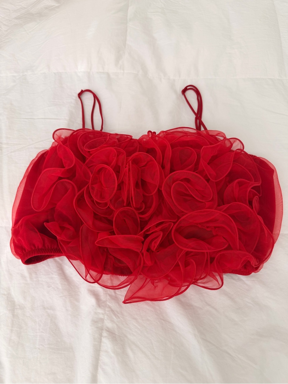 Source Unknown Red Ruffle Sheer Crop Top